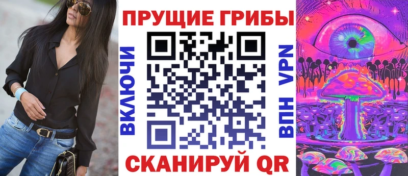 дарнет шоп  Фрязино  блэк спрут как войти  Галлюциногенные грибы Magic Shrooms 